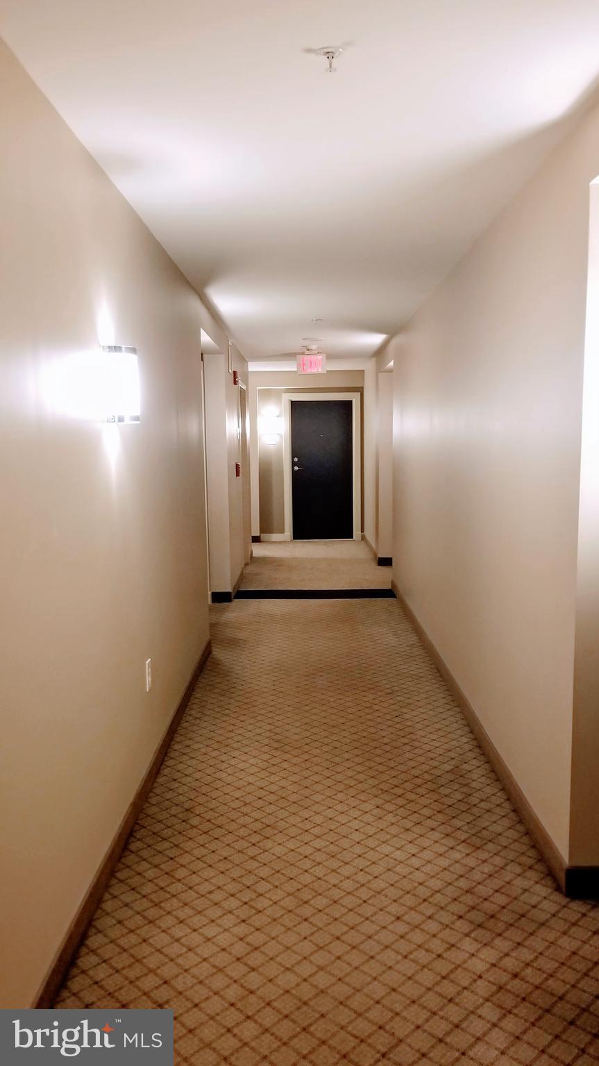 851 North Glebe Road, Unit 403 Arlington, VA 22203 - Photo 5 of 23 Condo Hallway