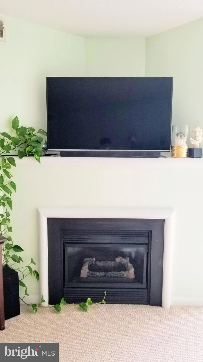 851 North Glebe Road, Unit 403 Arlington, VA 22203 - Photo 9 of 23 Fireplace