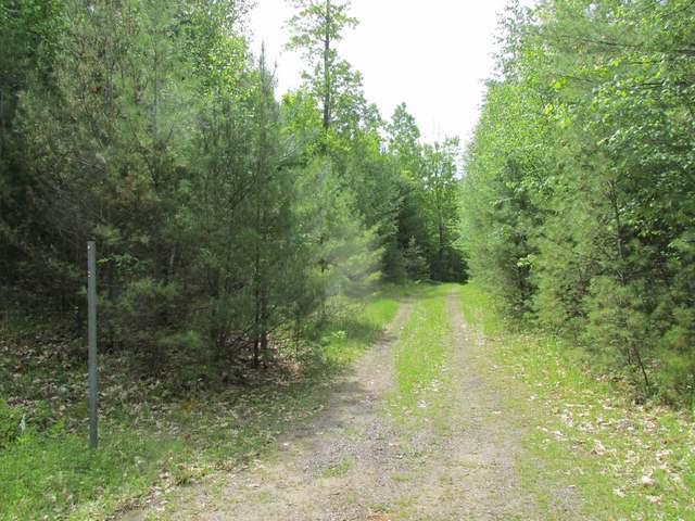 1773 Meta Lake Road Eagle River, WI 54521 - Photo 3 of 6 Gallery Image 3