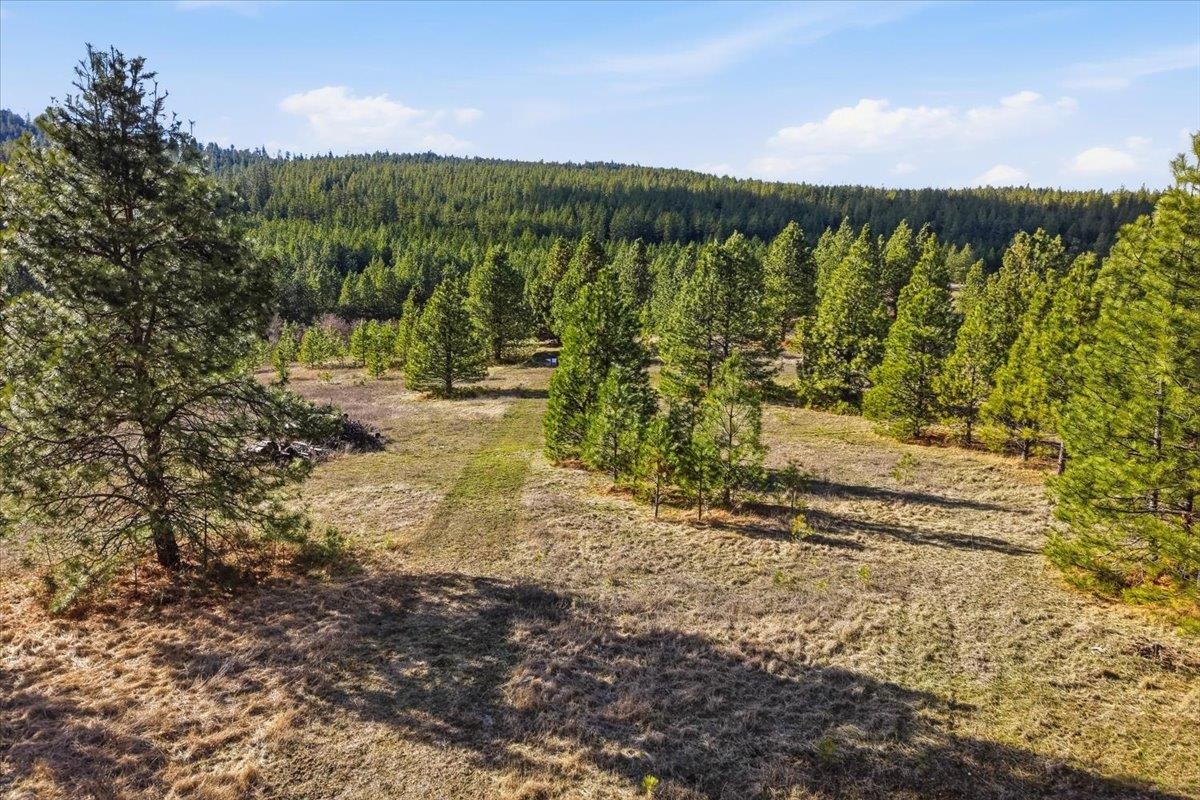 2625 South Stateline Road Liberty Lake, WA 99019 - Photo 35 of 45