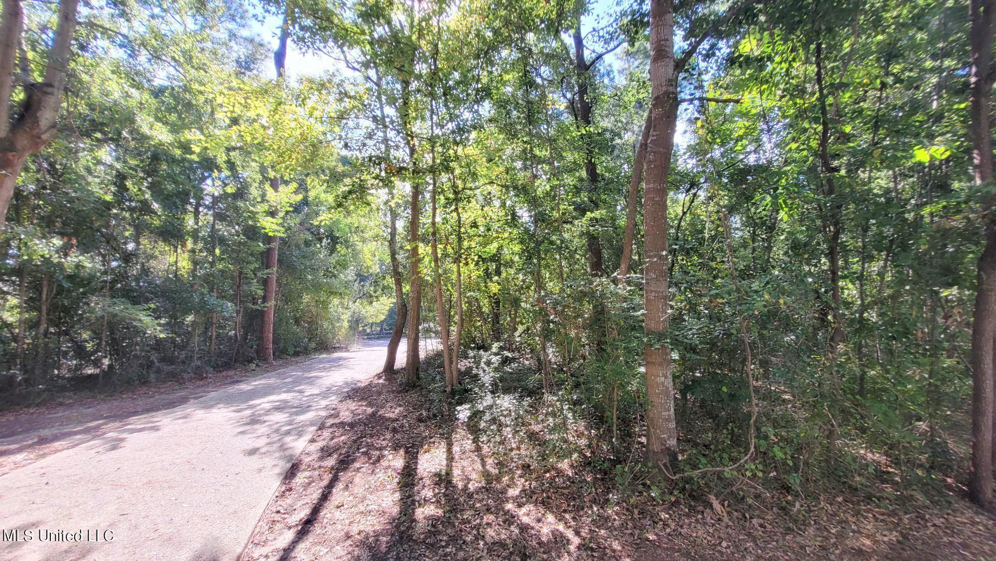 9177 Ridge Road Gulfport, MS 39503 - Photo 38 of 56 Wooded & Private