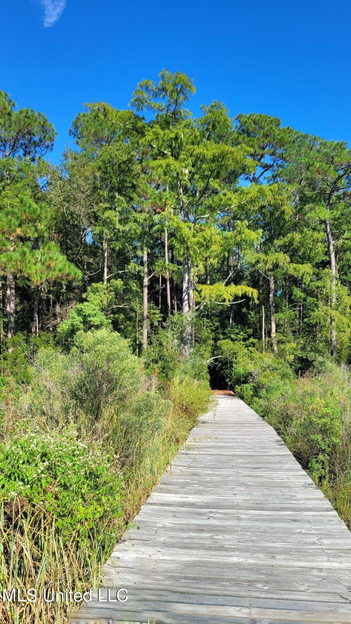 9177 Ridge Road Gulfport, MS 39503 - Photo 44 of 56 20220913_160705