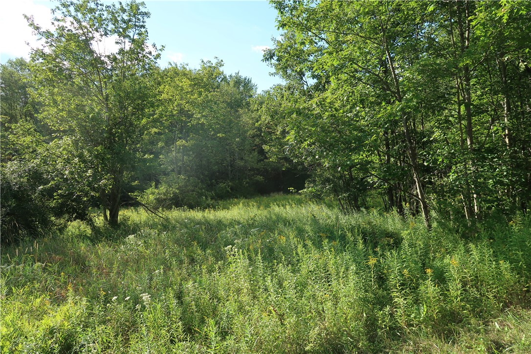 Lot 6 German Road Cincinnatus, NY 13040 - Photo 1 of 1 Gallery Image 1