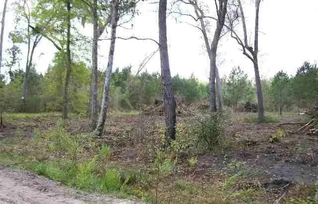 $105,000 | Vista Road, Monticello, FL 32344