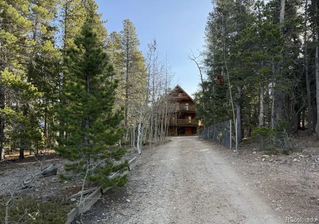 a view of a forest with trees in the background