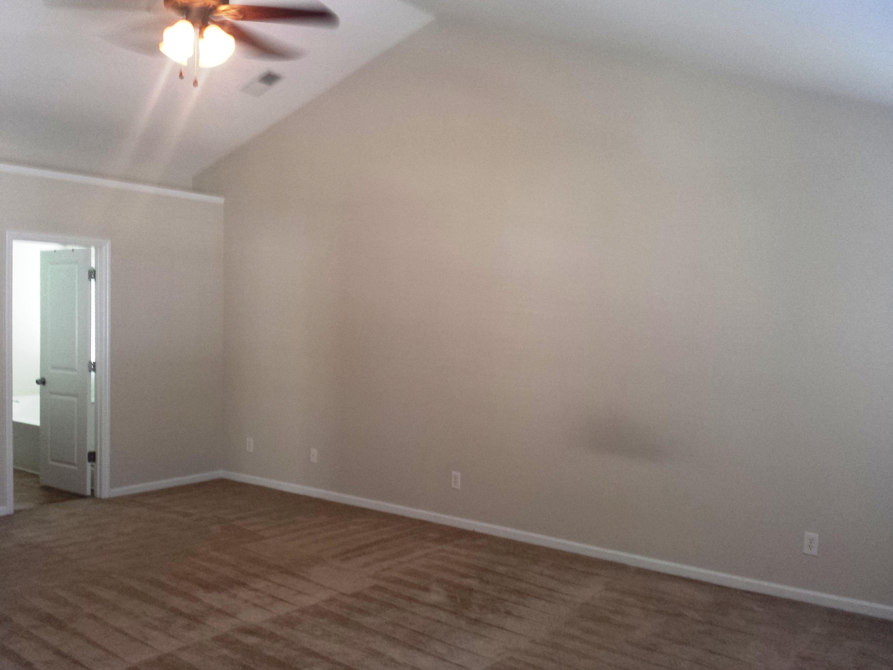 1223 Cosmos Road Summerville, SC 29483 - Photo 5 of 13 Master with Vaulted Ceiling