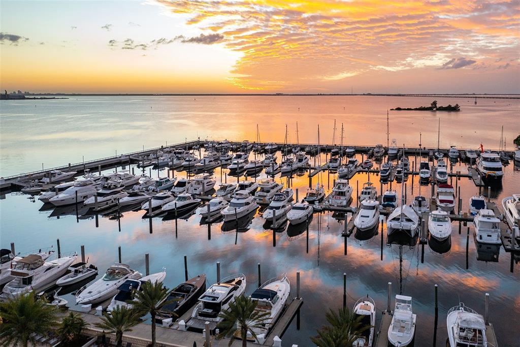 6002 Printery Street, Unit 105 Tampa, FL 33616 - Photo 63 of 64