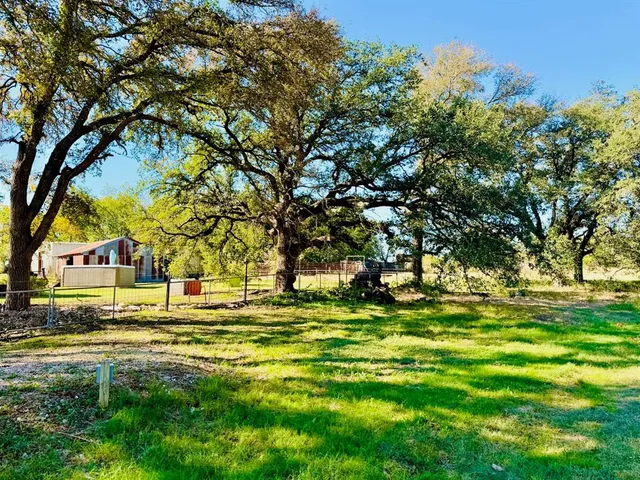 a view of yard with tree