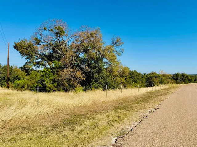 a view of a yard with trees