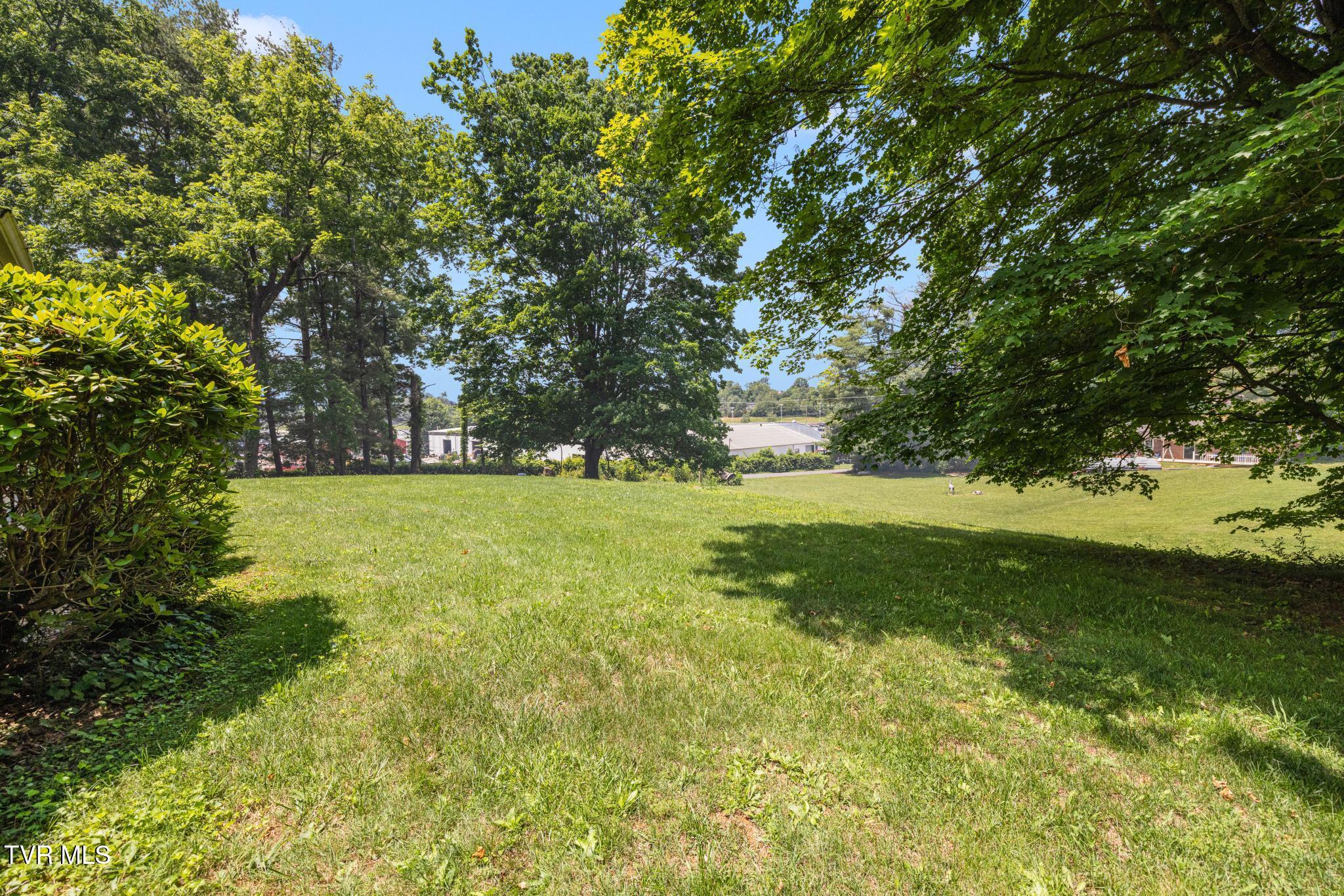 1013 Creasy Road Jonesborough, TN 37659 - Photo 39 of 54 IMG_8631