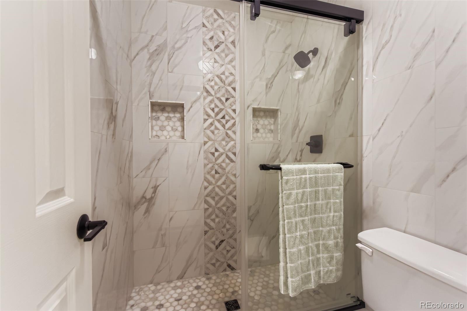 1055 Northridge Road Highlands Ranch, CO 80126 - Photo 19 of 32 a bathroom with a toilet and shower