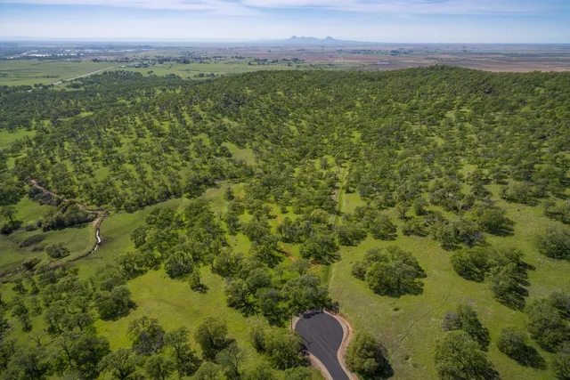 a view of a lush green forest with a building in the background