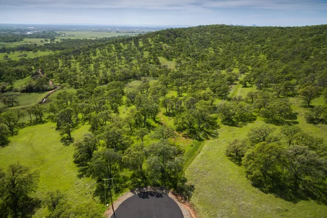 a view of a field with an ocean