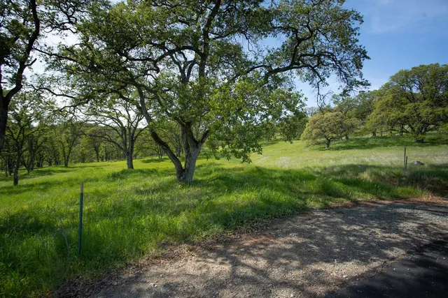 a view of outdoor space and yard