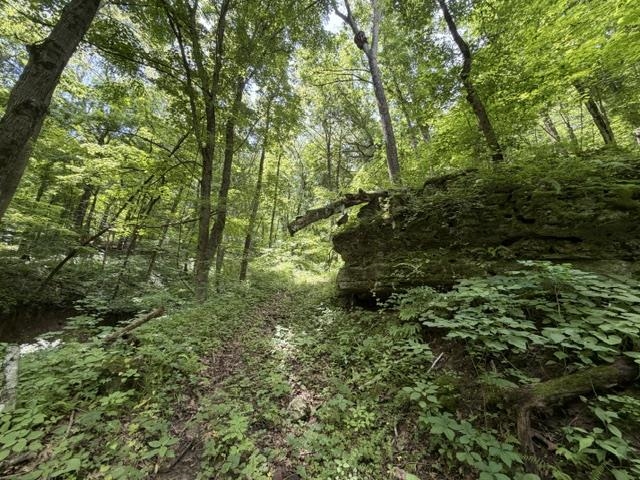 35537 Log House Lane Prairie du Chien, WI 53821 - Photo 31 of 36