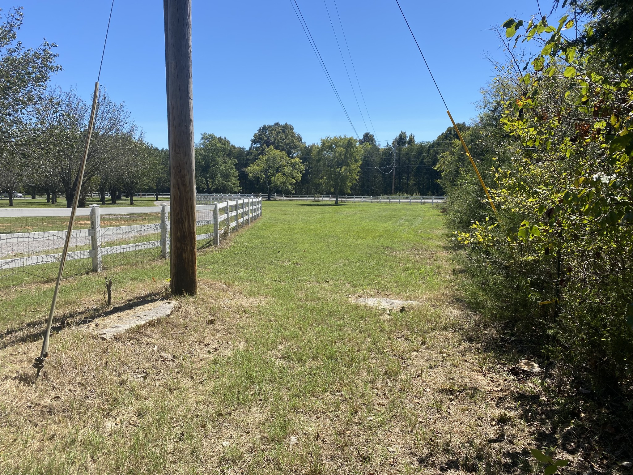 11201 New Zion Road Christiana, TN 37037 - Photo 15 of 19 a view of a backyard
