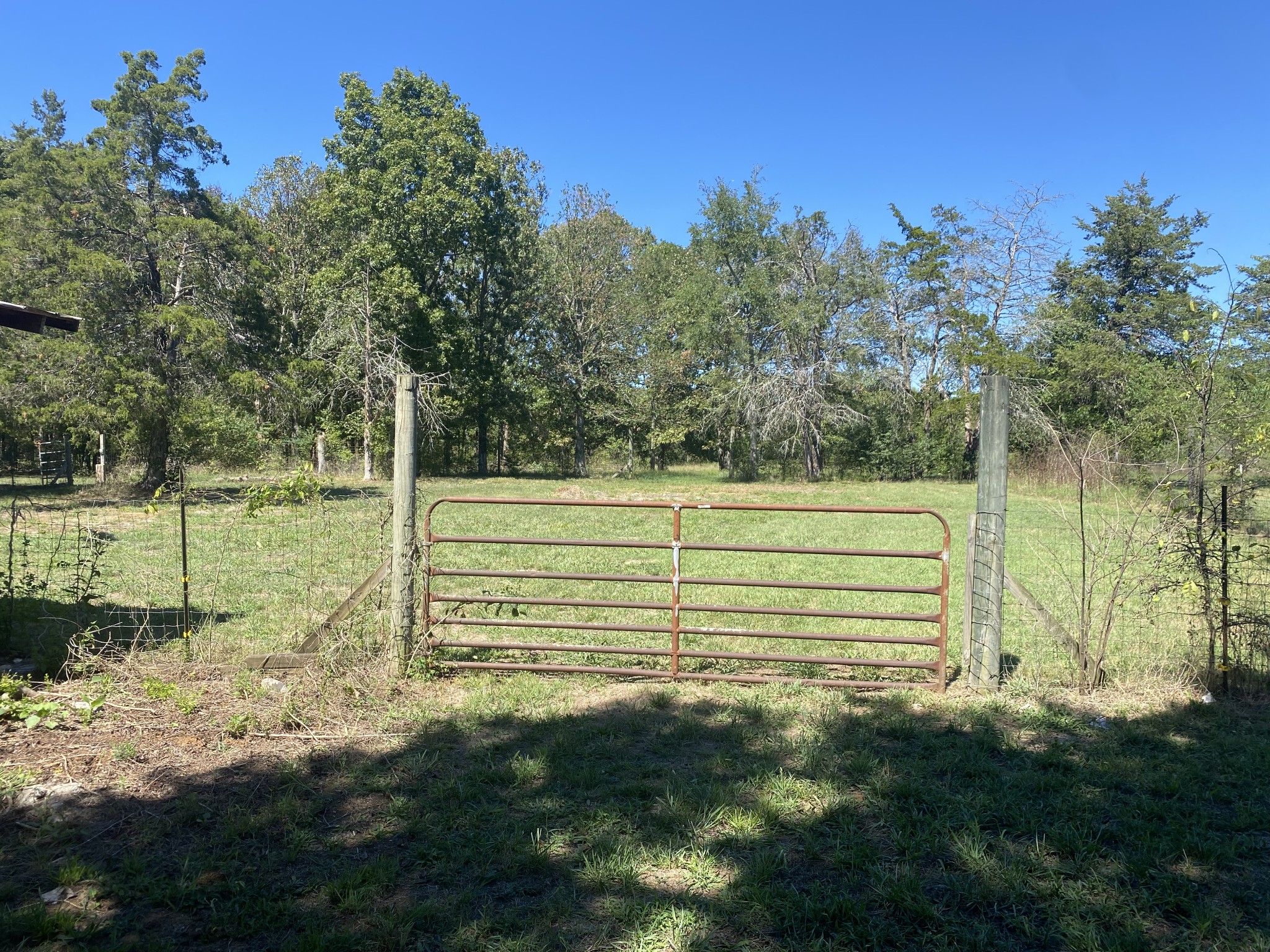 11201 New Zion Road Christiana, TN 37037 - Photo 17 of 19 a view of a yard