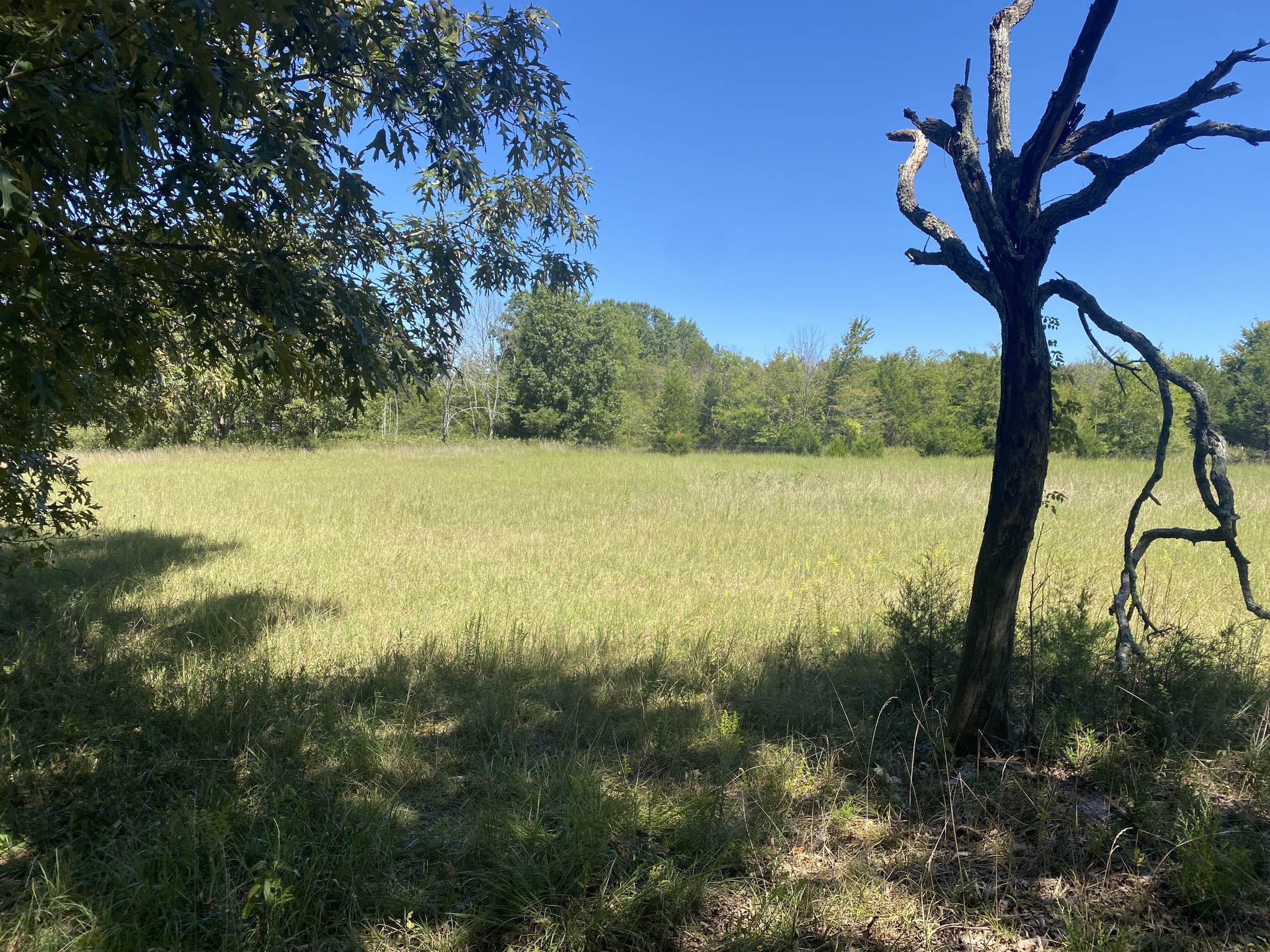 11201 New Zion Road Christiana, TN 37037 - Photo 18 of 19 a view of lake with green space