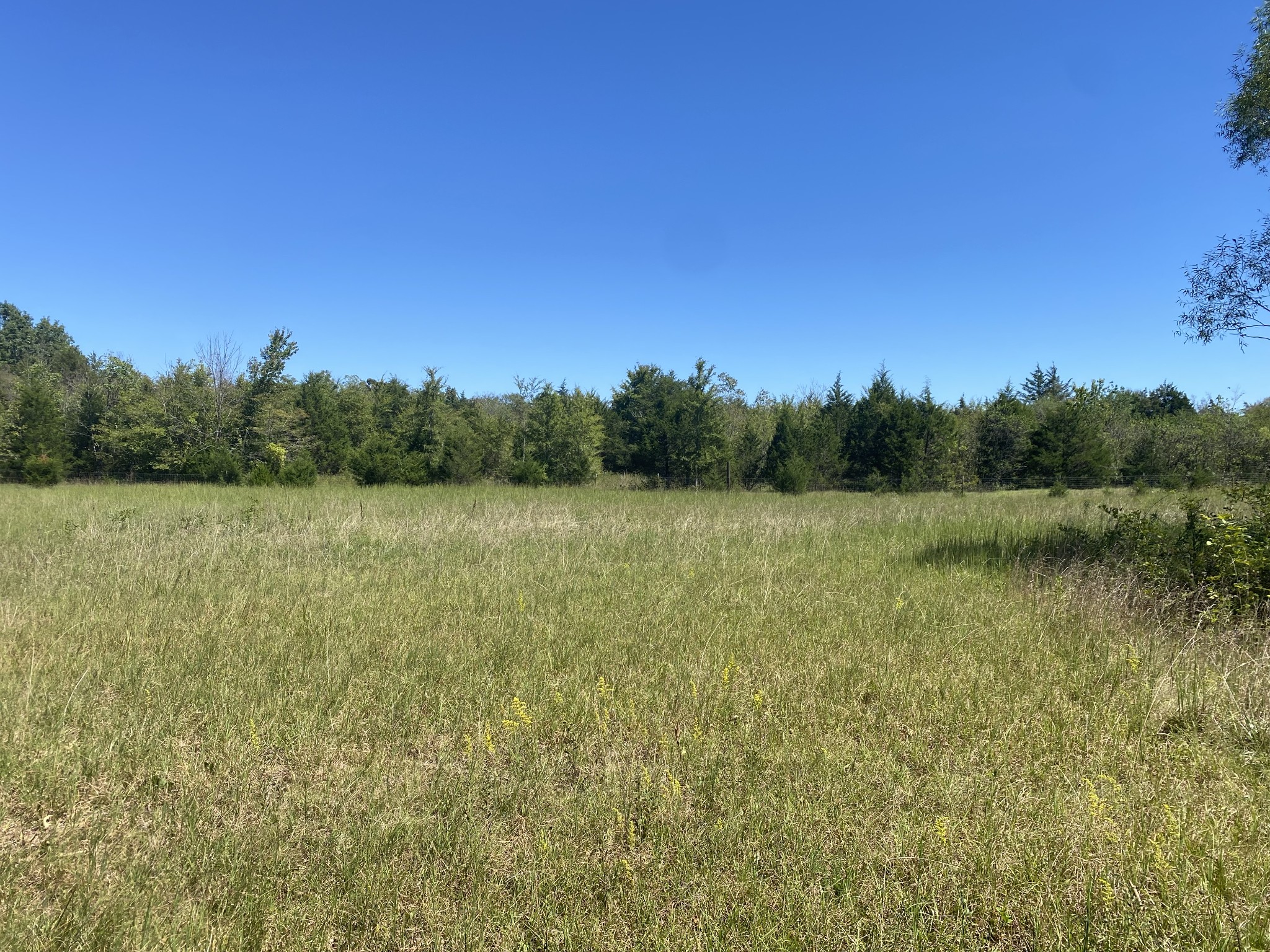 11201 New Zion Road Christiana, TN 37037 - Photo 19 of 19 a view of a lake with a yard