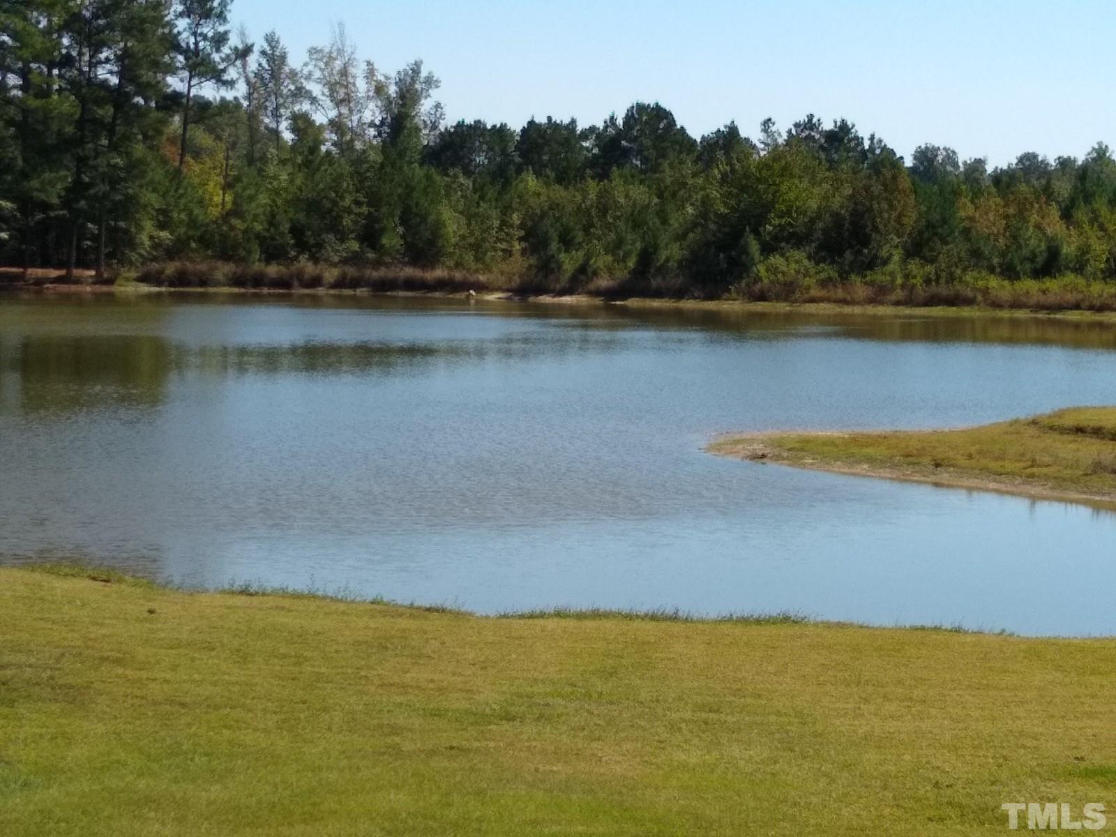 Lot 1 Williams White Road Zebulon, NC 27597 - Photo 1 of 19 Gallery Image 1