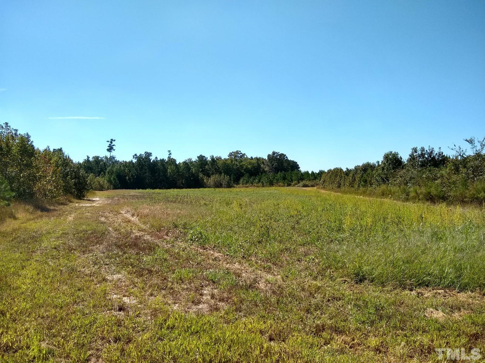 Lot 1 Williams White Road Zebulon, NC 27597 - Photo 11 of 19 Gallery Image 11