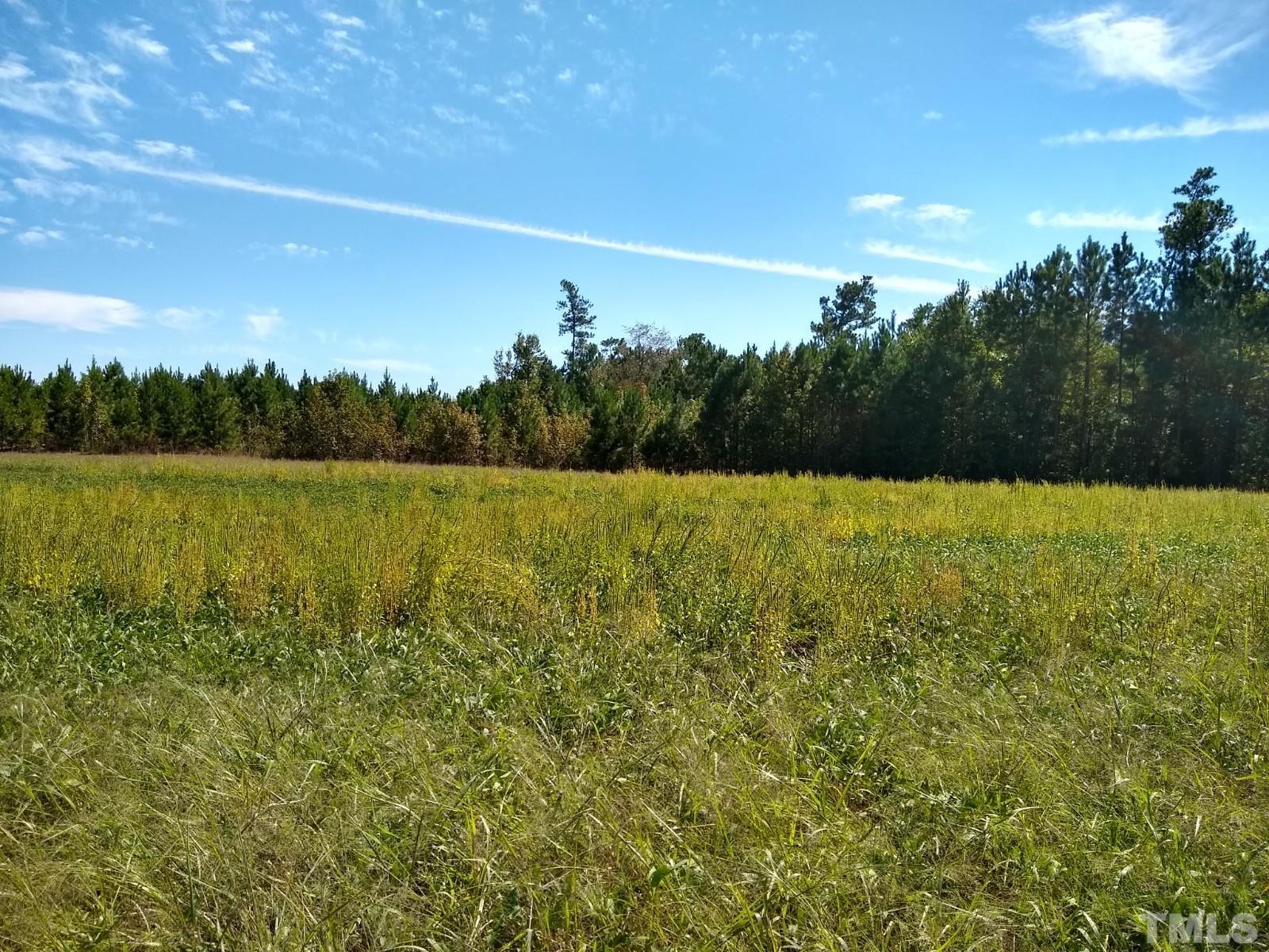 Lot 1 Williams White Road Zebulon, NC 27597 - Photo 12 of 19 Gallery Image 12