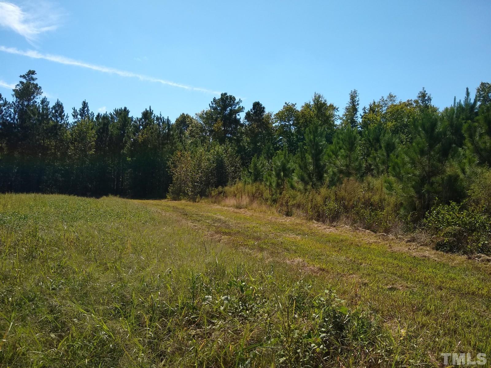 Lot 1 Williams White Road Zebulon, NC 27597 - Photo 13 of 19 Gallery Image 13
