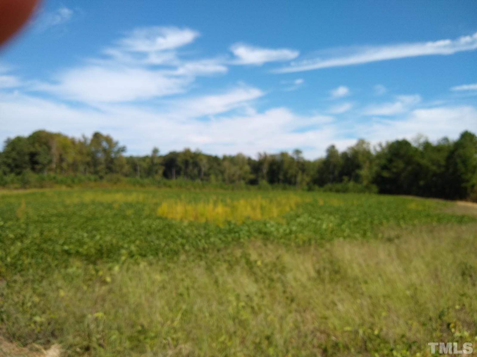 Lot 1 Williams White Road Zebulon, NC 27597 - Photo 14 of 19 Gallery Image 14