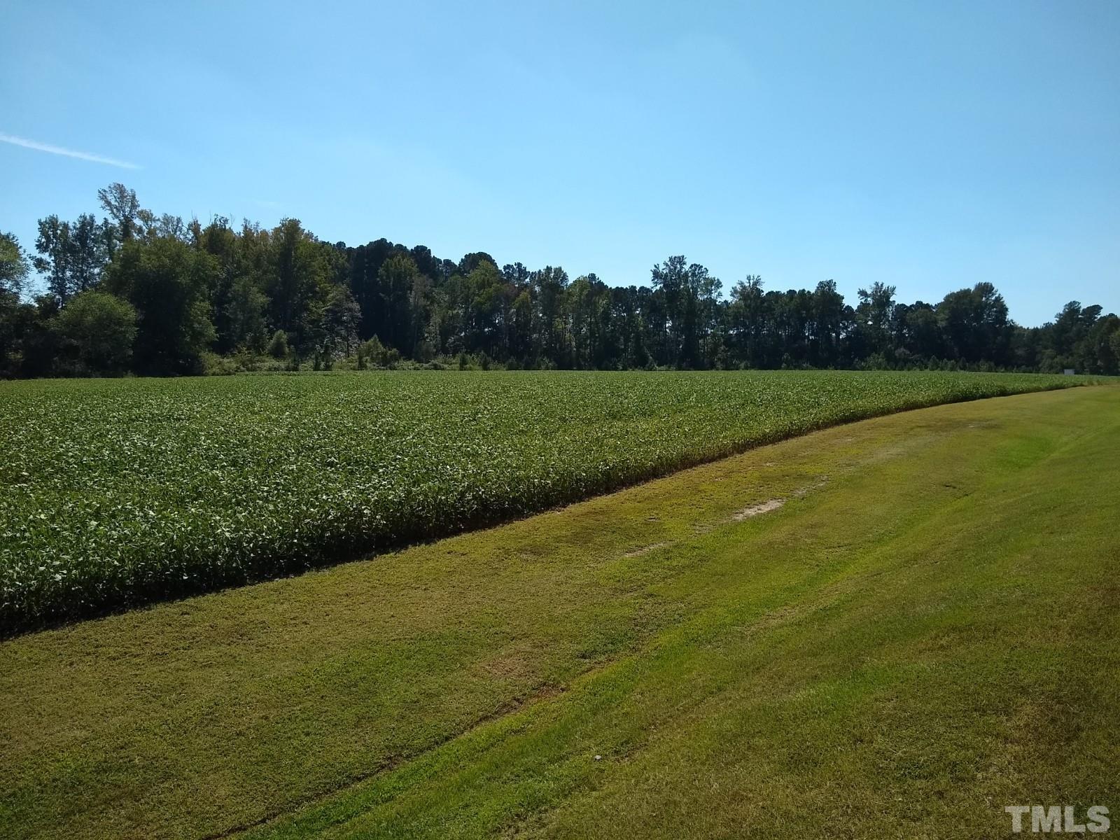 Lot 1 Williams White Road Zebulon, NC 27597 - Photo 16 of 19 Gallery Image 16