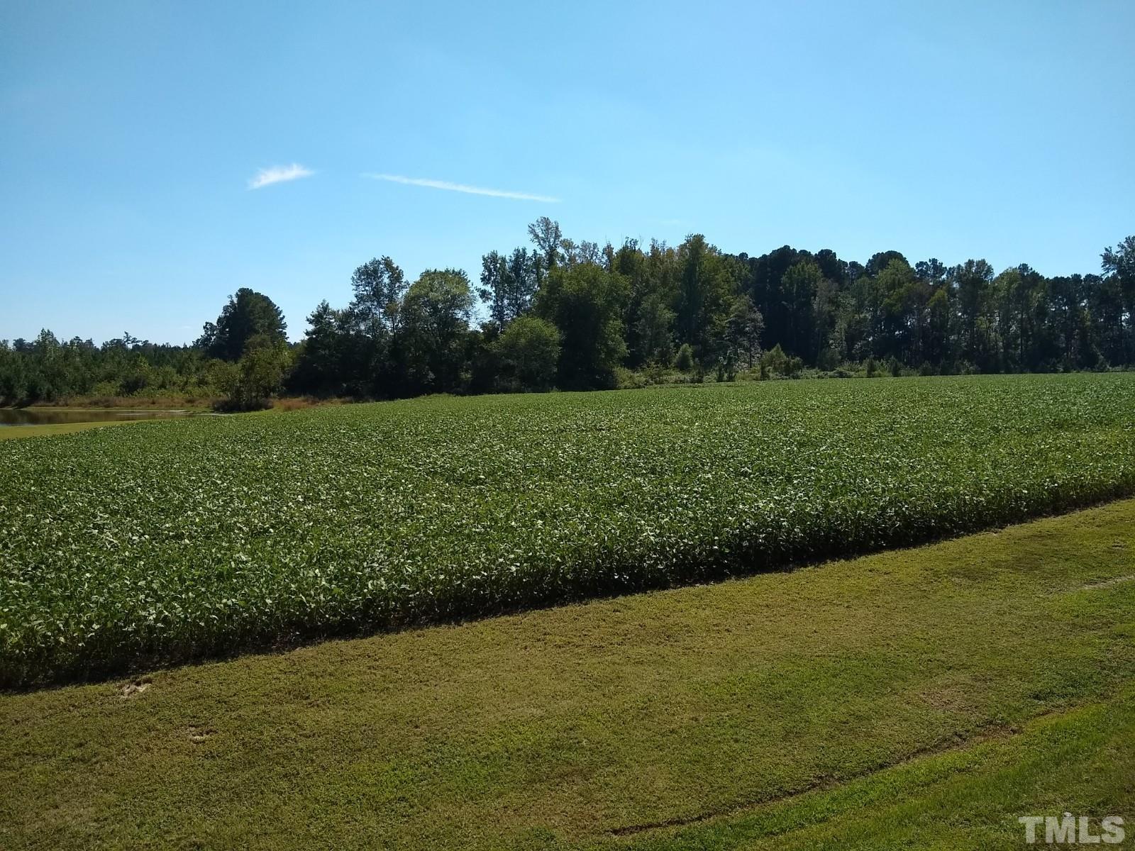 Lot 1 Williams White Road Zebulon, NC 27597 - Photo 17 of 19 Gallery Image 17
