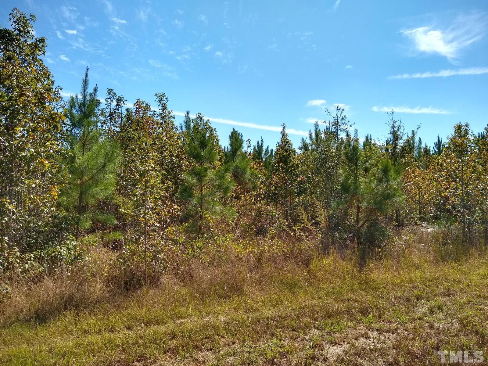 Lot 1 Williams White Road Zebulon, NC 27597 - Photo 18 of 19 Gallery Image 18