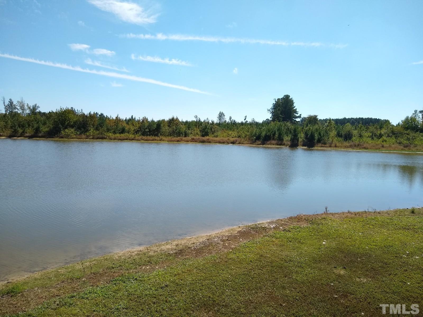 Lot 1 Williams White Road Zebulon, NC 27597 - Photo 3 of 19 Gallery Image 3