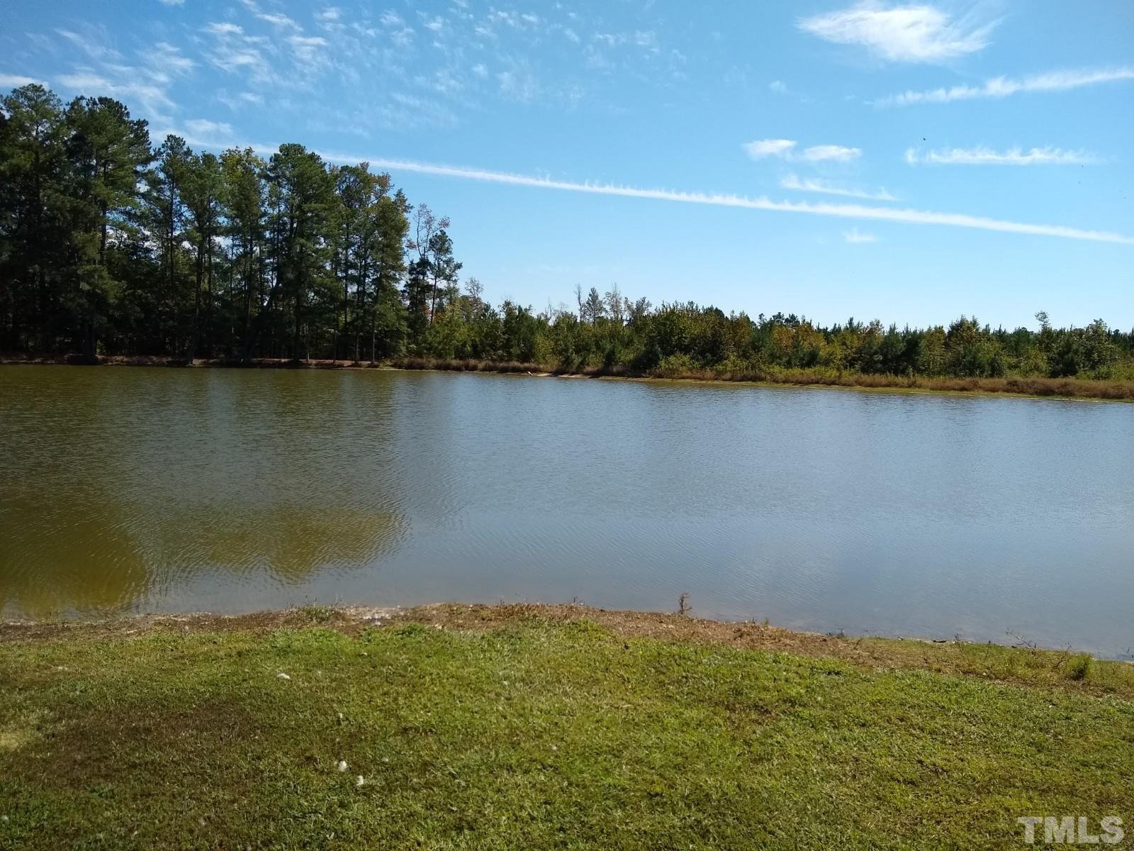Lot 1 Williams White Road Zebulon, NC 27597 - Photo 4 of 19 Gallery Image 4