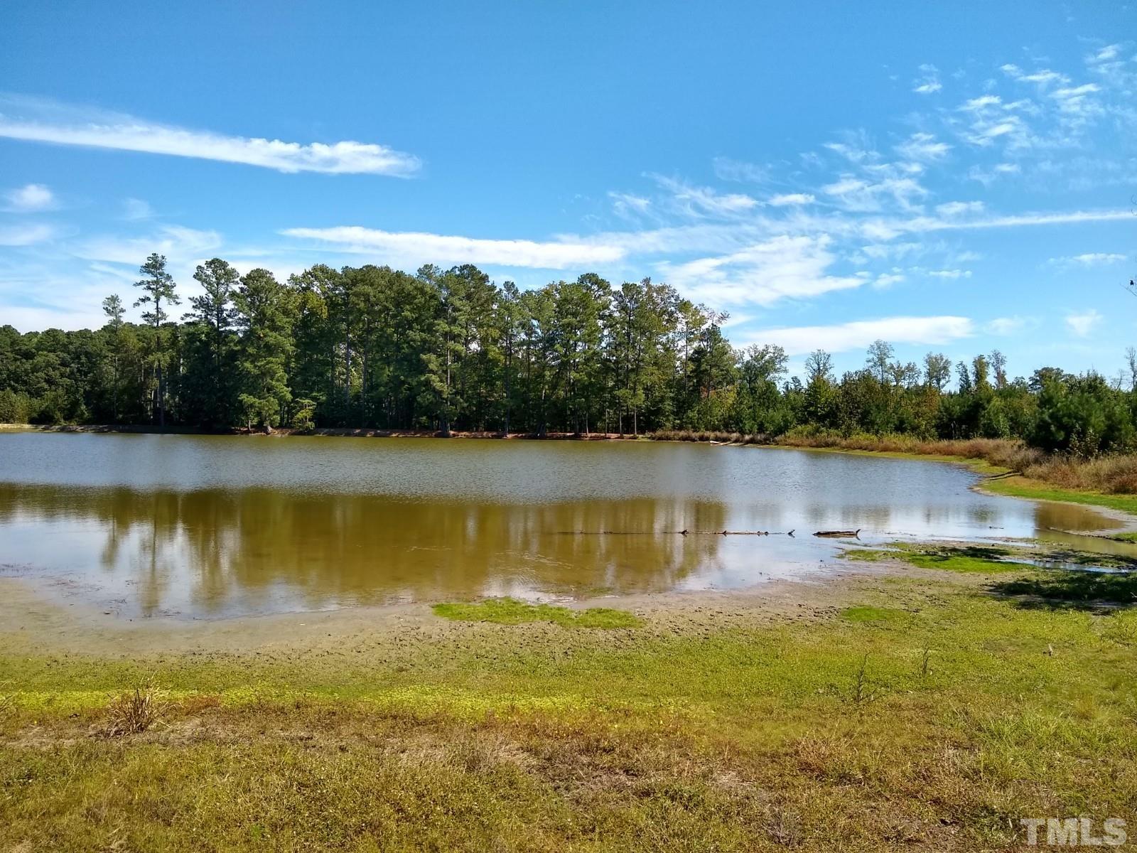Lot 1 Williams White Road Zebulon, NC 27597 - Photo 5 of 19 Gallery Image 5