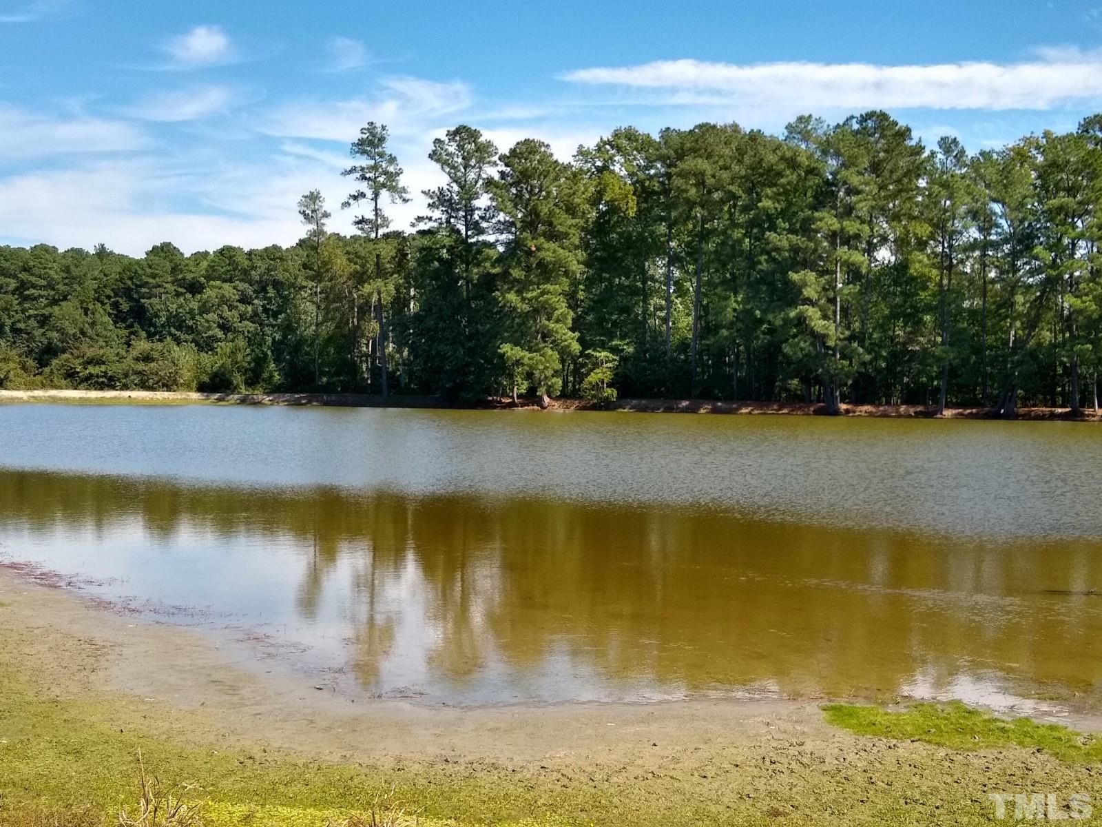 Lot 1 Williams White Road Zebulon, NC 27597 - Photo 6 of 19 Gallery Image 6