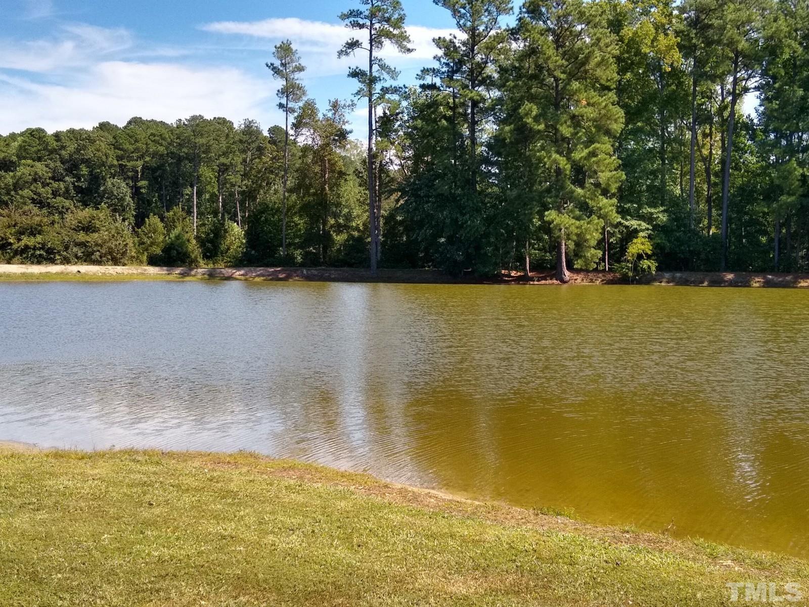 Lot 1 Williams White Road Zebulon, NC 27597 - Photo 7 of 19 Gallery Image 7
