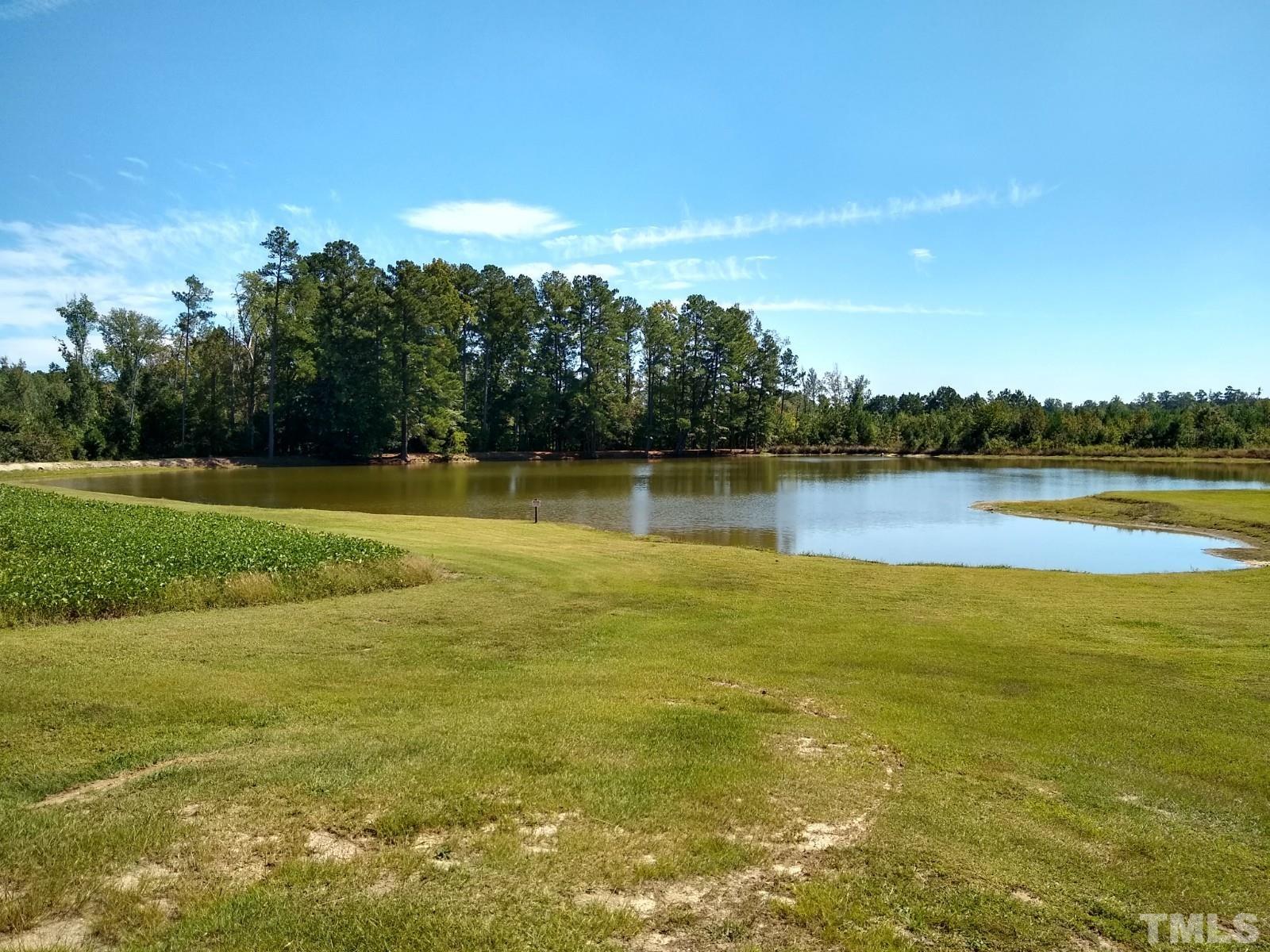 Lot 1 Williams White Road Zebulon, NC 27597 - Photo 8 of 19 Gallery Image 8