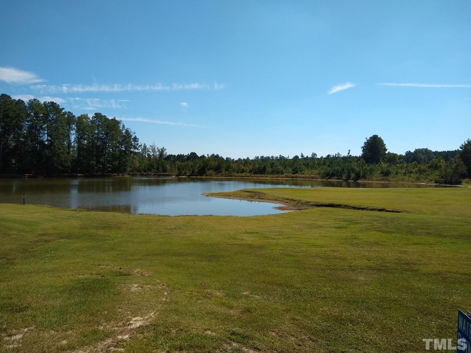 Lot 1 Williams White Road Zebulon, NC 27597 - Photo 9 of 19 Gallery Image 9