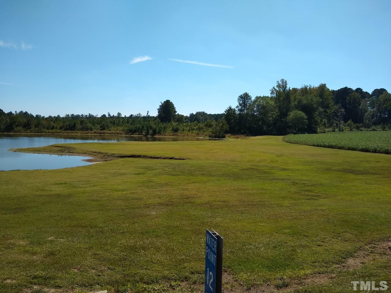 Lot 1 Williams White Road Zebulon, NC 27597 - Photo 10 of 19 Gallery Image 10