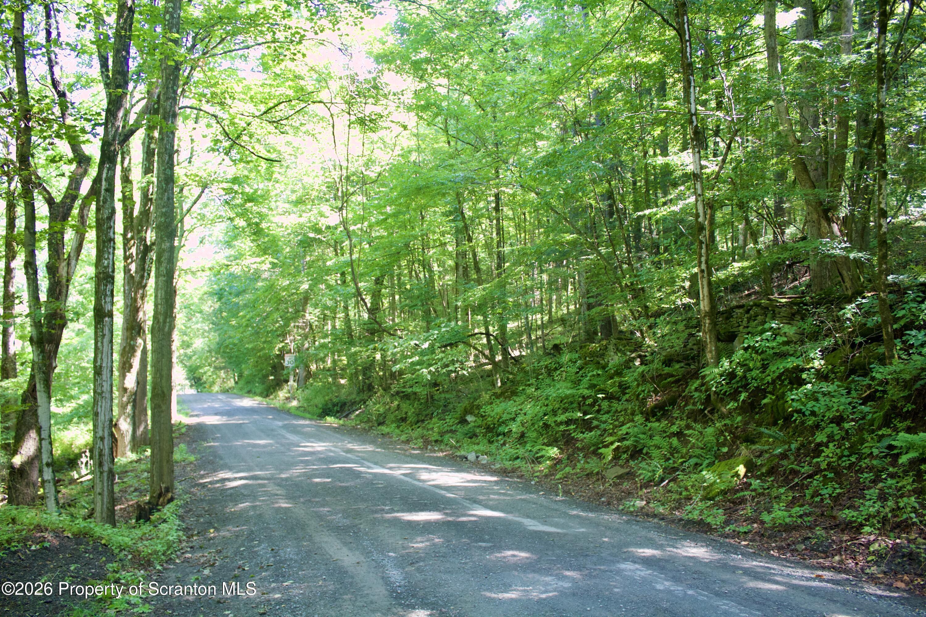 2000 Belcher Road Union Dale, PA 18470 - Photo 11 of 28 IMG_4645