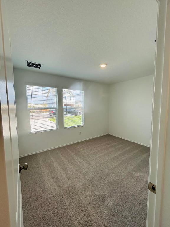 521 Cattle Queen Road Jarrell, TX 76537 - Photo 9 of 16 an empty room with windows