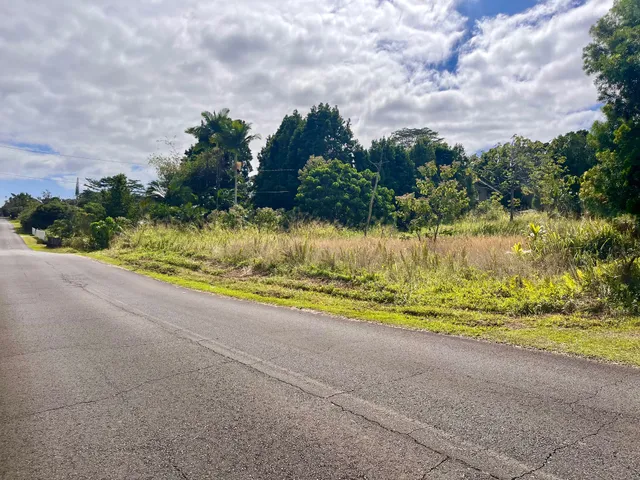 a view of a yard with an outdoor space