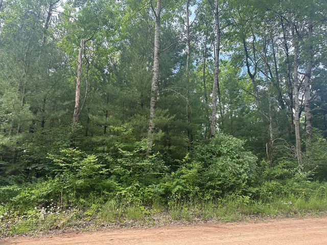 $19,900 | 0 North Skookum Road, Luther, MI 49656