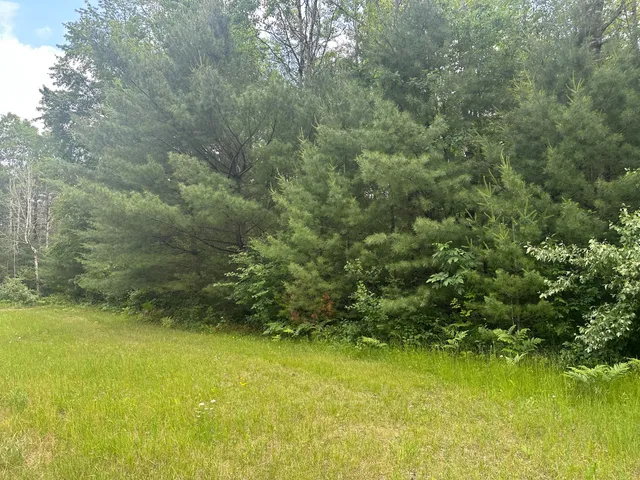 $19,900 | 0 North Skookum Road, Luther, MI 49656