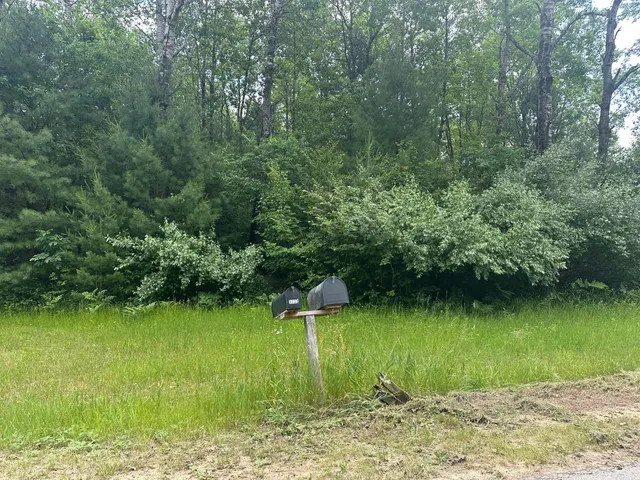 $19,900 | 0 North Skookum Road, Luther, MI 49656