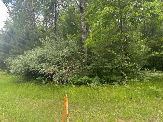 $19,900 | 0 North Skookum Road, Luther, MI 49656