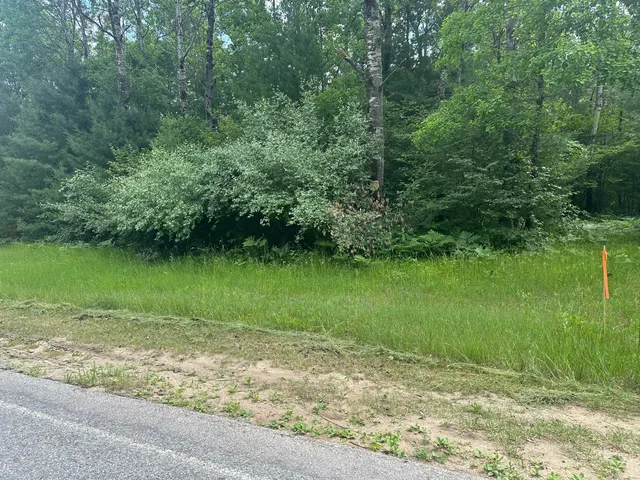 $19,900 | 0 North Skookum Road, Luther, MI 49656