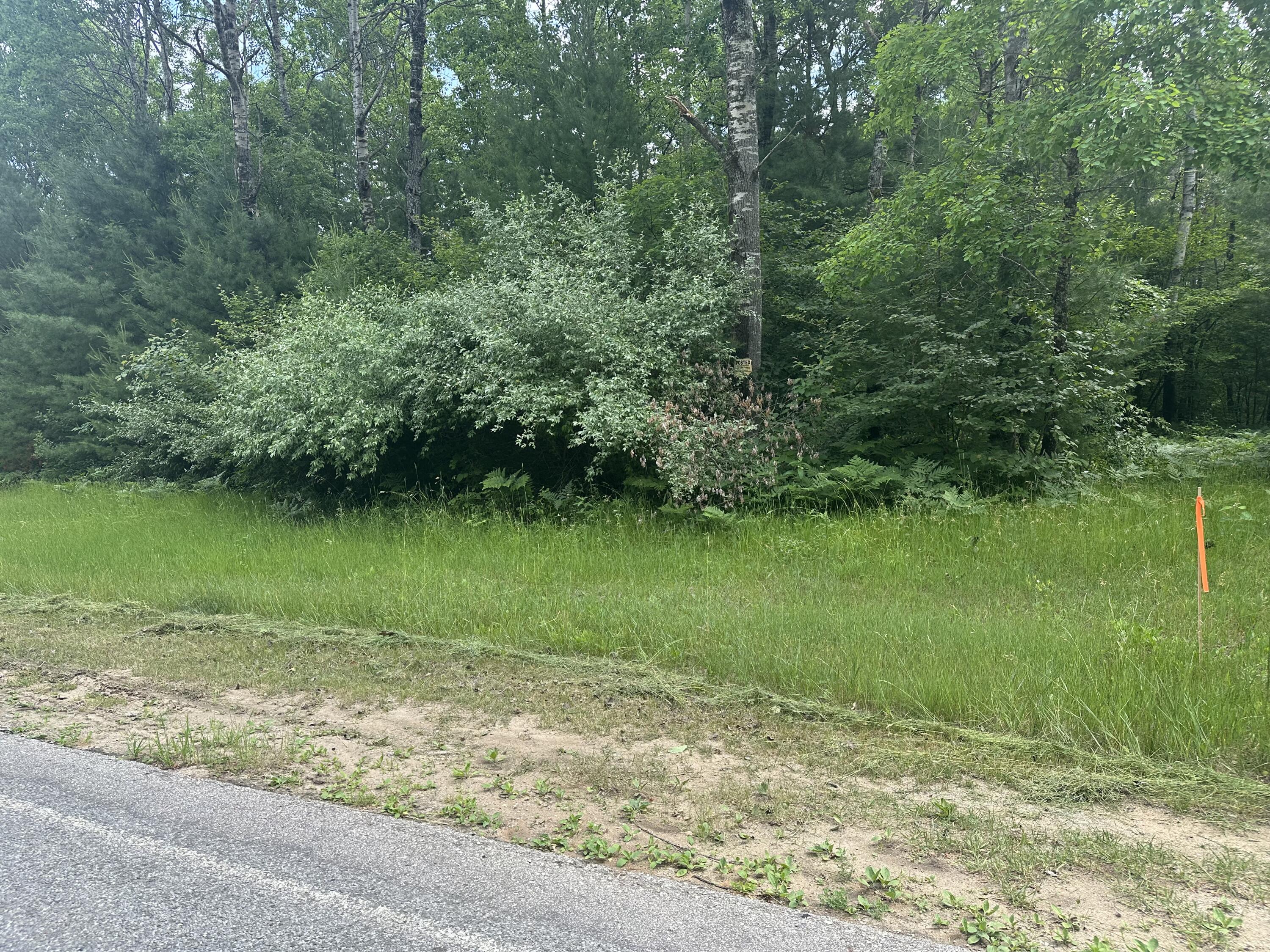 0 North Skookum Road Luther, MI 49656 - Photo 8 of 8 IMG_6834