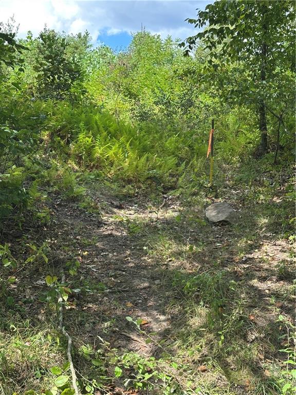 Lot 11 Sarah Furnace Road Rimersburg, PA 16248 - Photo 4 of 20