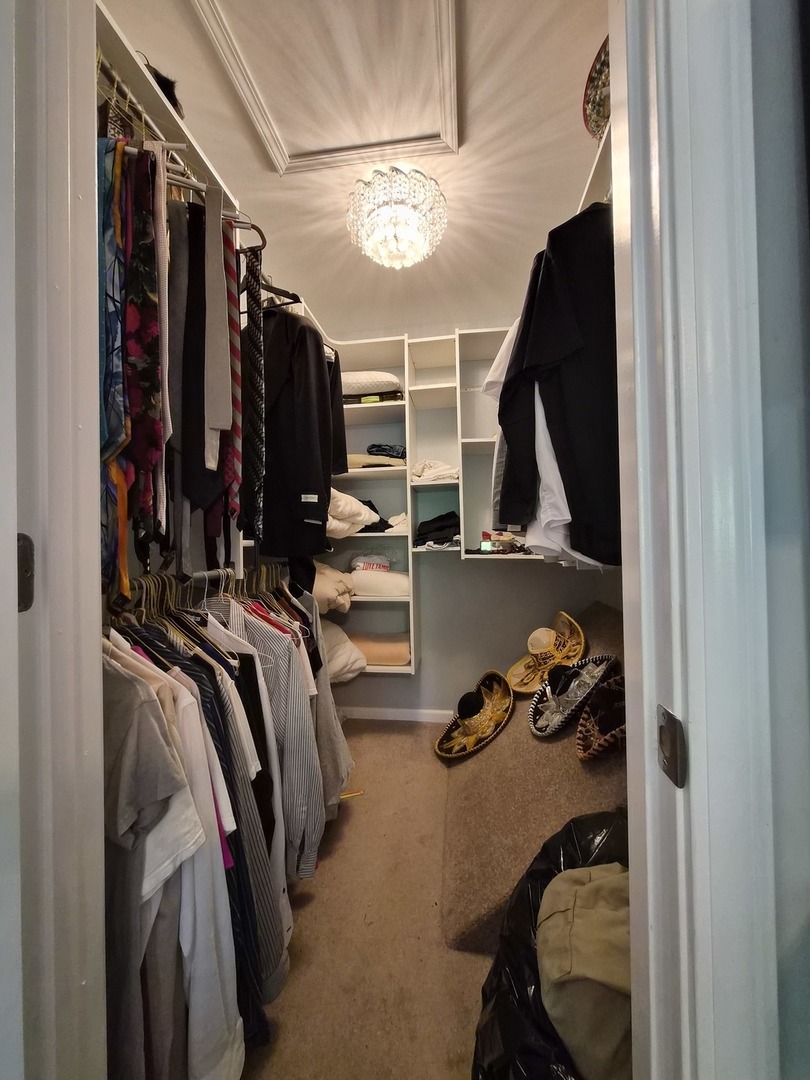 1516 Normantown Road, Unit 1516 Naperville, IL 60564 - Photo 13 of 21